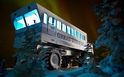 Images of Polar Bear Season