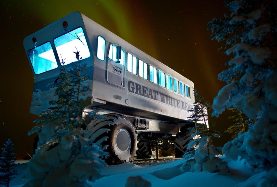 Great White Bear polar rover churchill