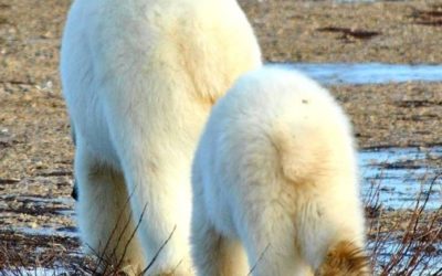 Churchill Sunday Photo – End Game