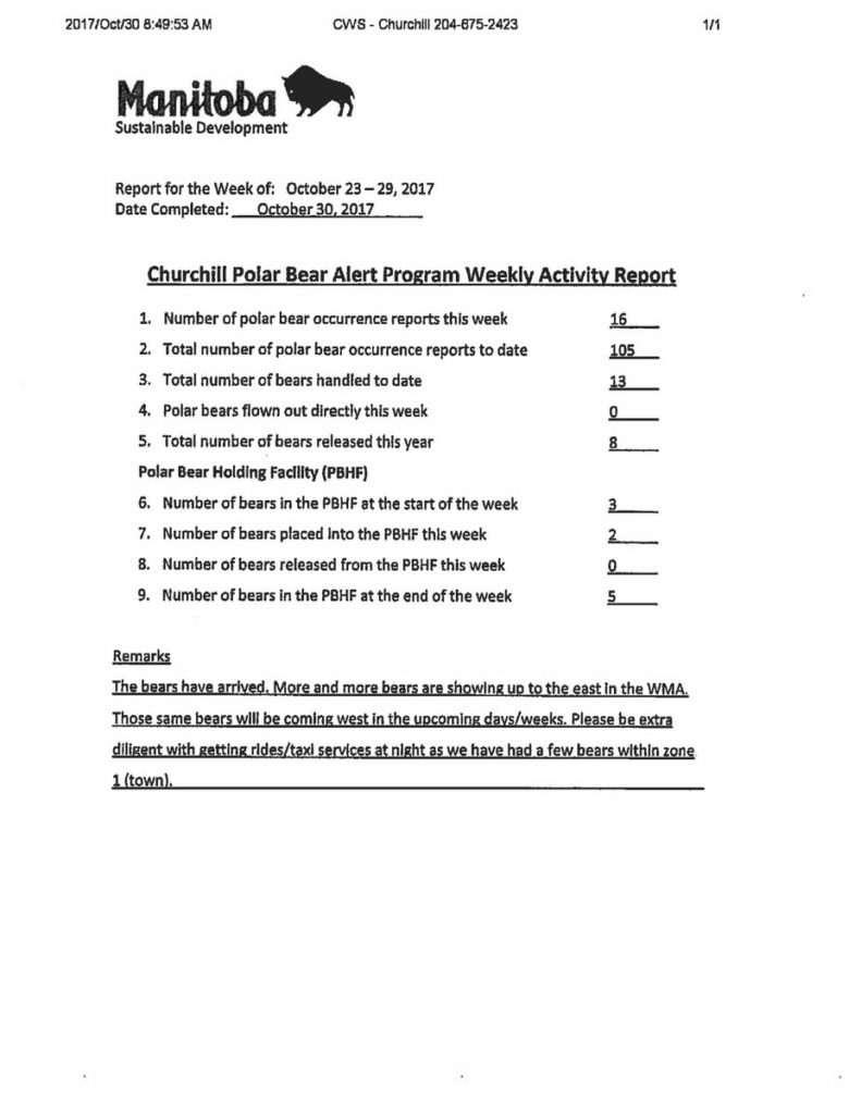 polar bear stats for Churchill