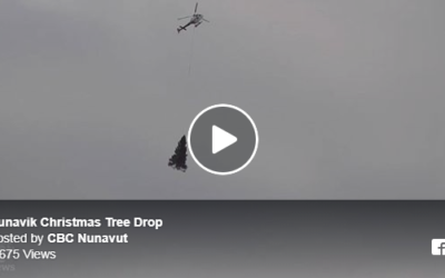 A Christmas Tree for the Arctic