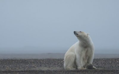 Churchill Sunday Photo