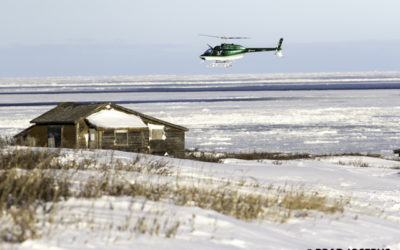 Live from Churchill: Nov 17, 2009