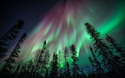 Churchill Northern Lights Season