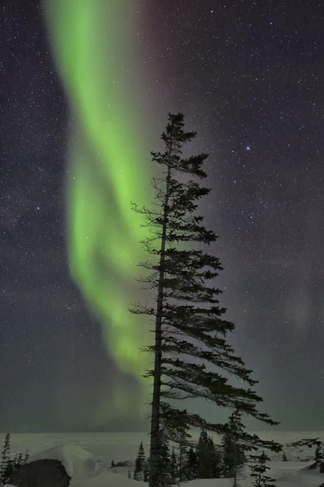 Churchill northern lights