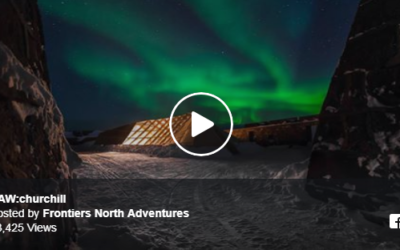 Churchill “Raw” Returning