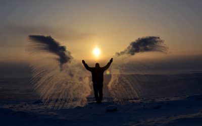 Churchill Sunday Photo – Arctic Angel