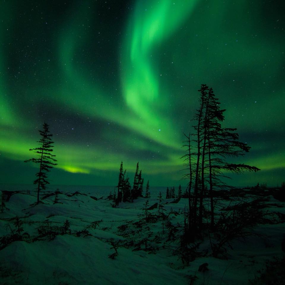 northern lights in Churchill.