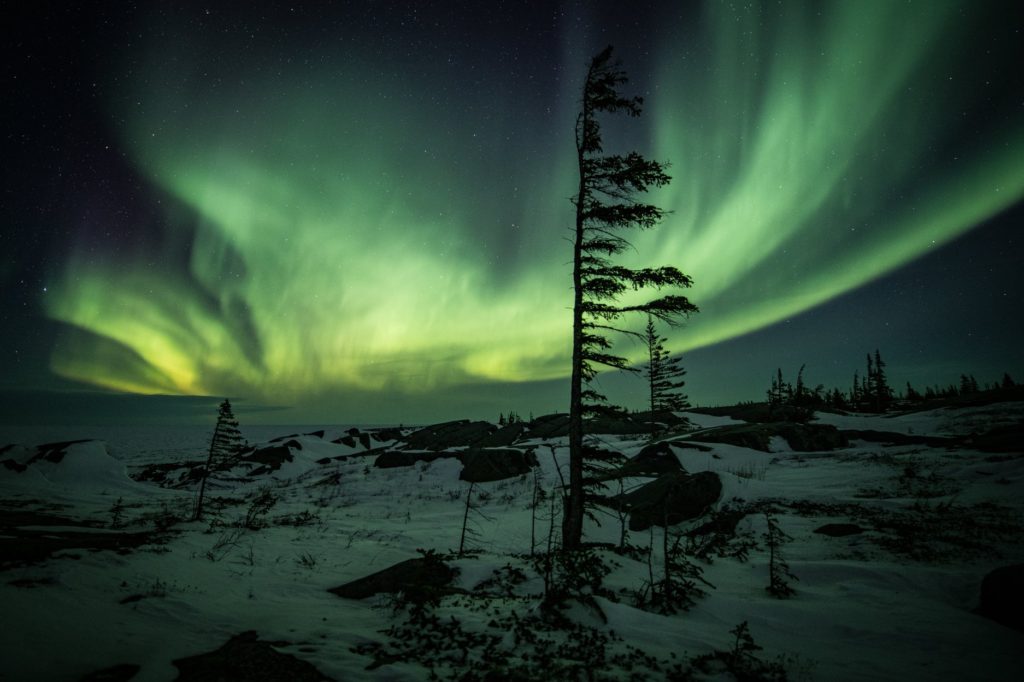 Discover Churchill aurora borealis Churchill