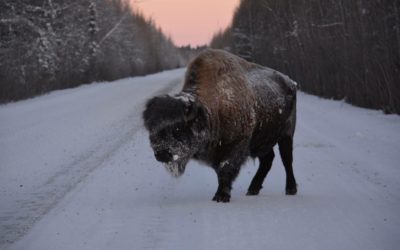 Churchill Sunday Photos