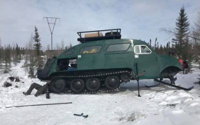 Great White Bear Bombardier