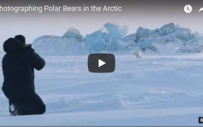 Churchill Video of the Week