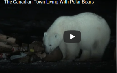 Churchill Video of the Week – Arviat