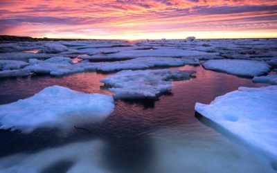 Churchill Photo of the Week