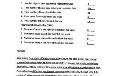 Churchill Weekly Polar Bear Stats
