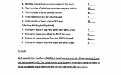 Churchill Weekly Polar Bear Stats