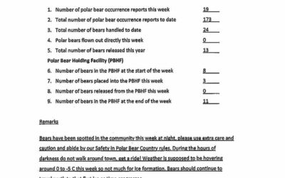 Churchill Weekly Polar Bear Stats