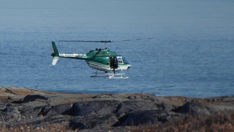 Manitoba Conservation polar bear sedation