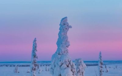 Magical Arctic Images