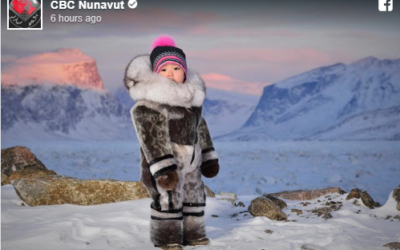 Churchill Weekly Photo – Wild North