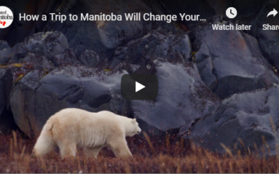 Churchill Video of the Week – Churchill Life Change