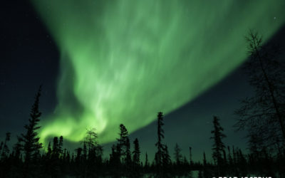 Record-Breaking Aurora Streak Of 2019, Churchill, Manitoba