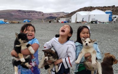 Churchill Photos of the Week – Arctic Life