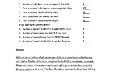 Churchill Polar Bear Weekly Statistics
