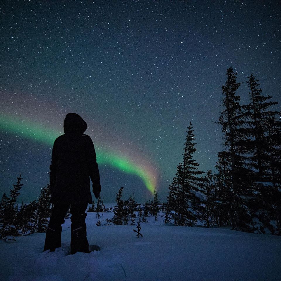 Northern lights and boreal forest Churchill.