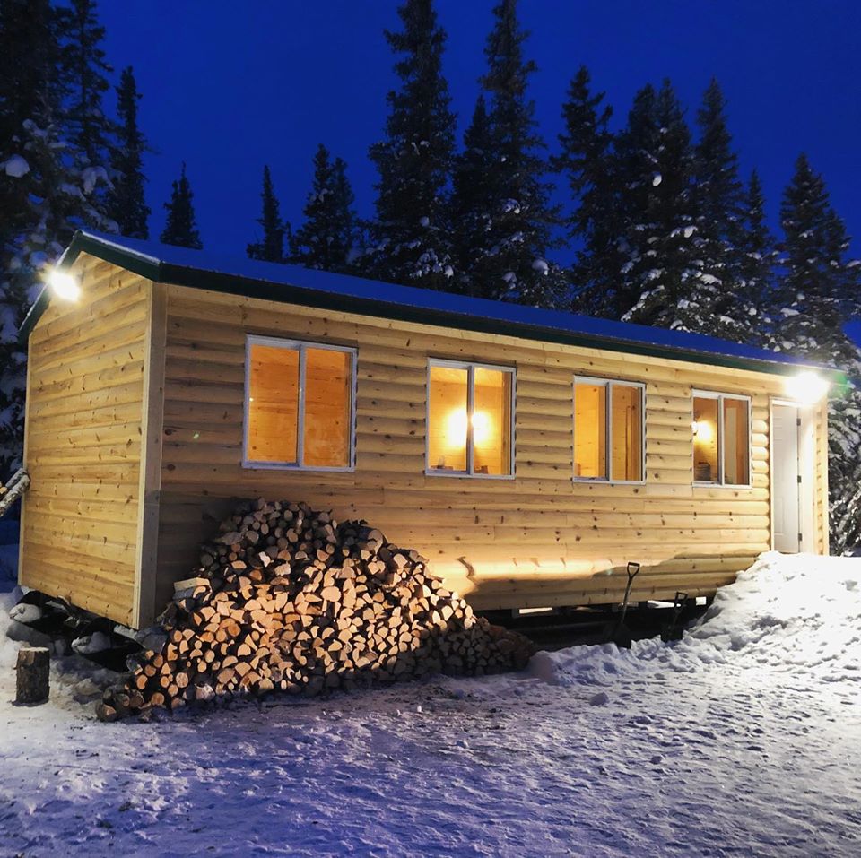 Cabin Churchill Great white bear
