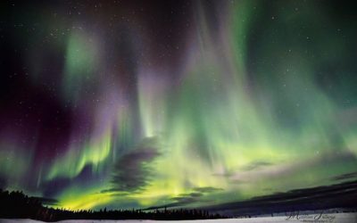 Churchill Weekly Photos – Northern Lights