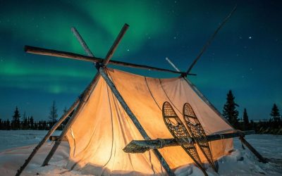 Northern Lights Parting Shots